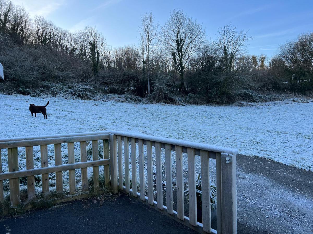 Kabin In The Woods Villa Llandybie Dış mekan fotoğraf