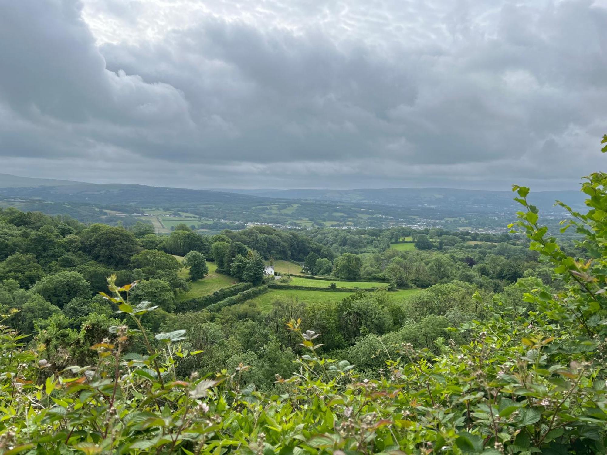 Kabin In The Woods Llandybie Dış mekan fotoğraf